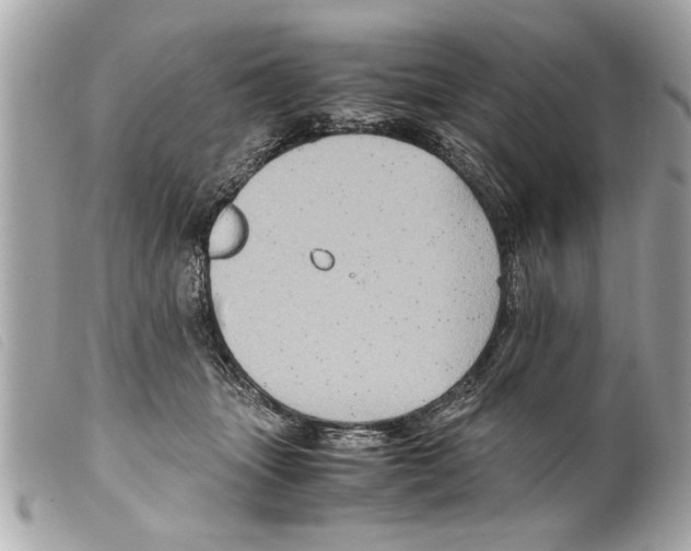X0000099290463200805301116