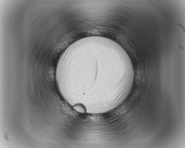 X0000099290466200805301116