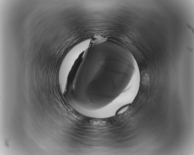 X0000099290471200805301116