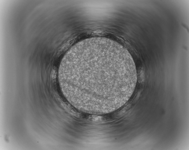 X0000099290472200805301116