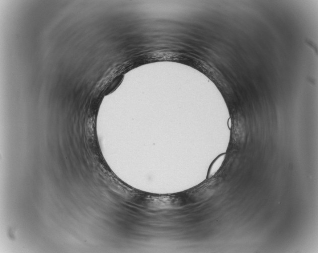 X0000099290473200805301116