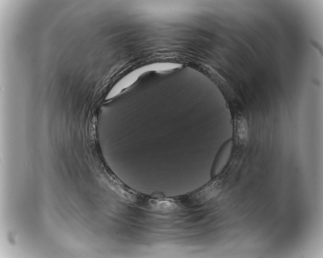 X0000099290475200805301116