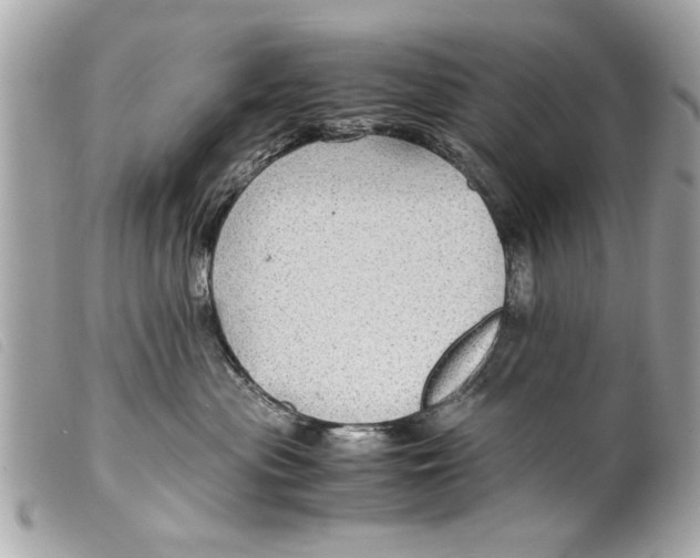 X0000099290477200805301116