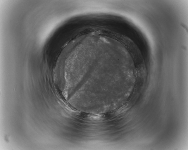 X0000099290479200805301116