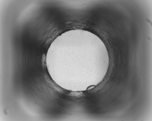 X0000099290480200805301116