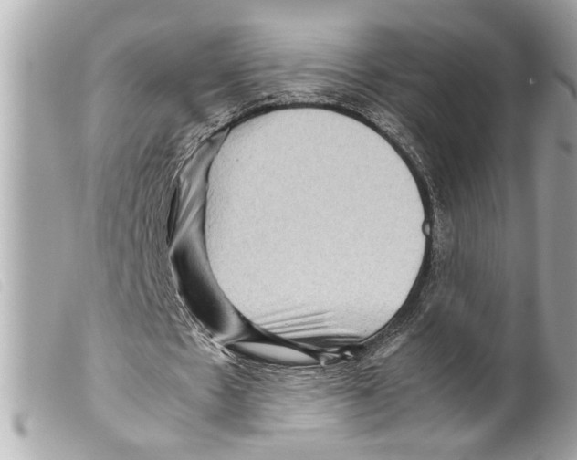 X0000099290481200805301115