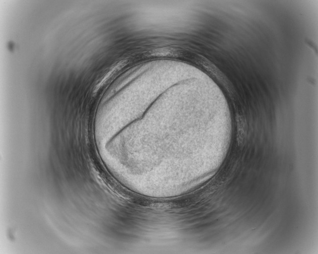 X0000099290482200805301115