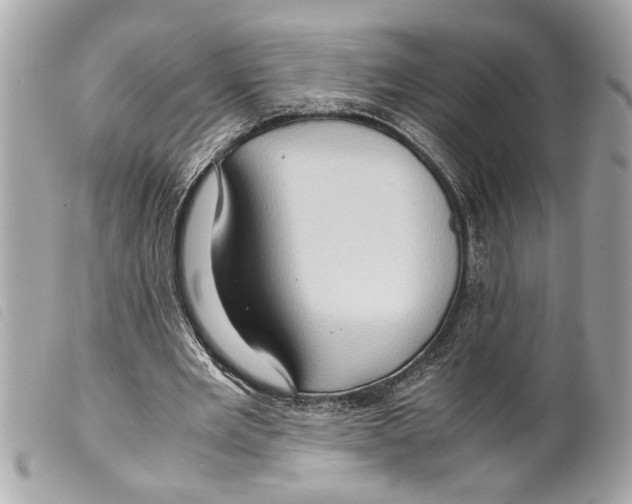 X0000099290485200805301115