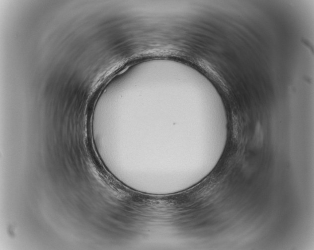X0000099290486200805301115