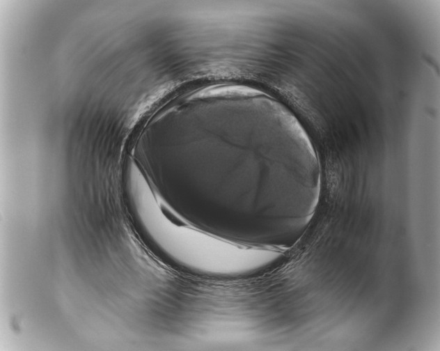 X0000099290488200805301115