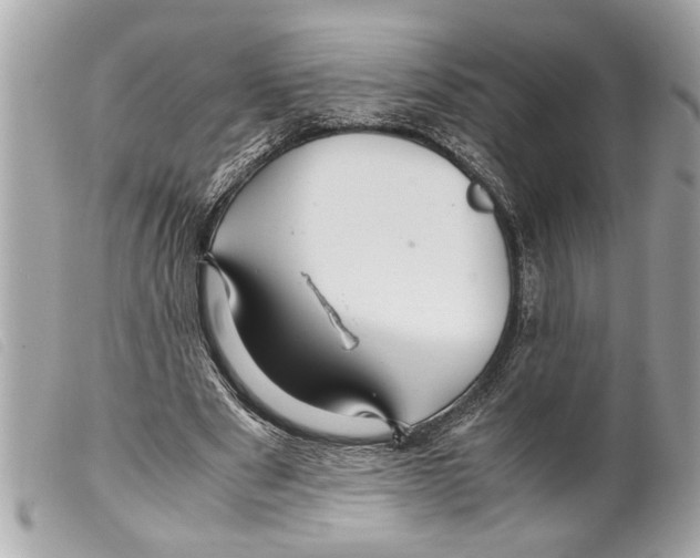 X0000099290489200805301115