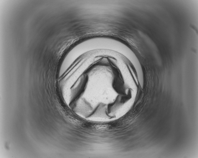 X0000099290495200805301115