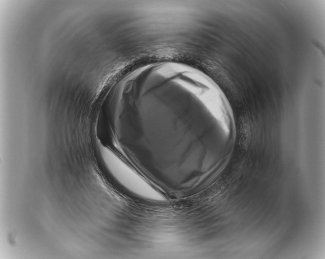 X0000099290496200805301115