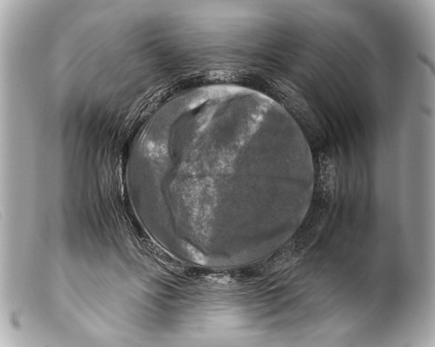X0000099290502200805301115