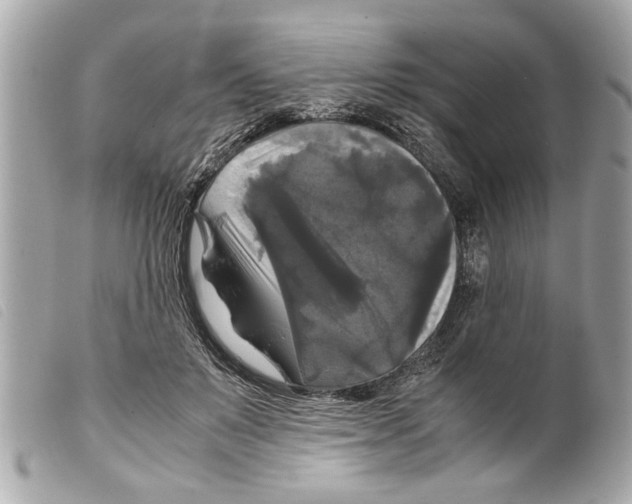 X0000099290503200805301115