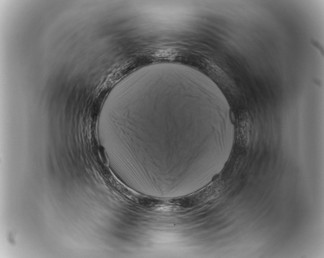 X0000099290504200805301115