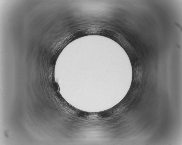 X0000099290505200805301115