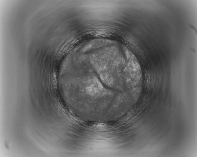 X0000099290506200805301115
