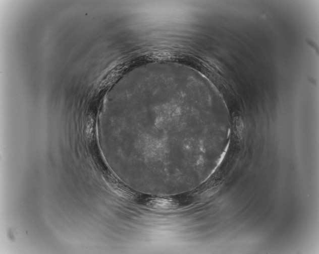 X0000099290507200805301115