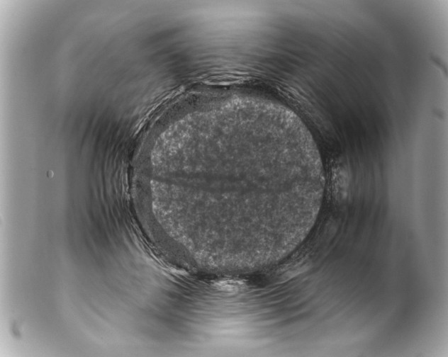 X0000099290508200805301115