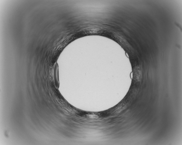 X0000099290509200805301115