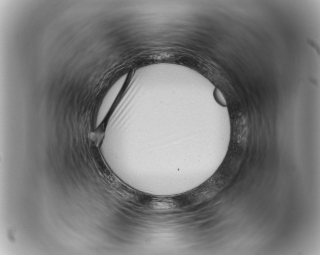 X0000099290510200805301115