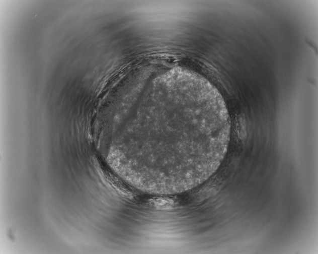 X0000099290512200805301115