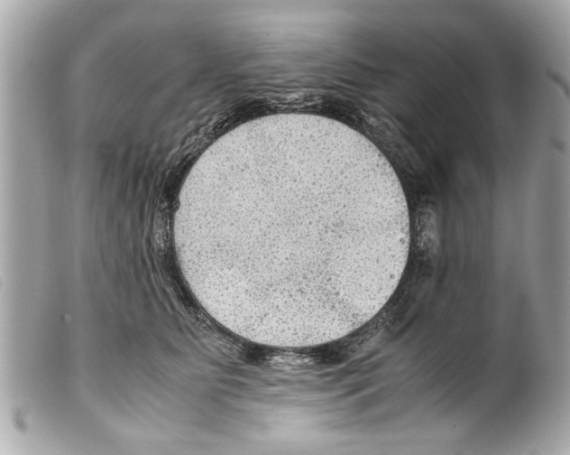 X0000099290515200805301114