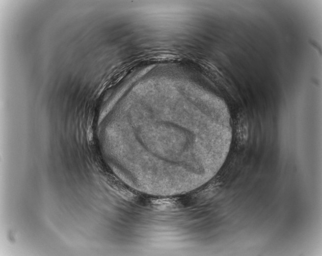 X0000099290516200805301114
