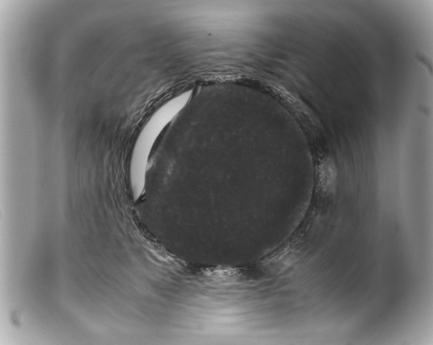 X0000099290517200805301114