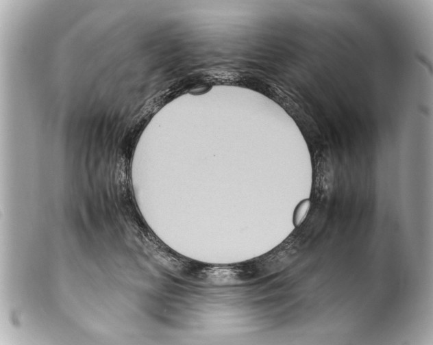 X0000099290518200805301114