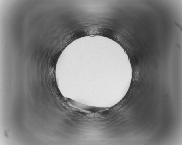 X0000099290521200805301114