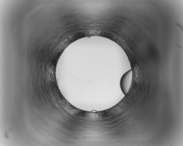 X0000099290522200805301114