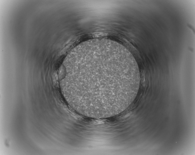 X0000099290523200805301114