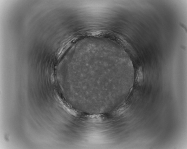 X0000099290524200805301114