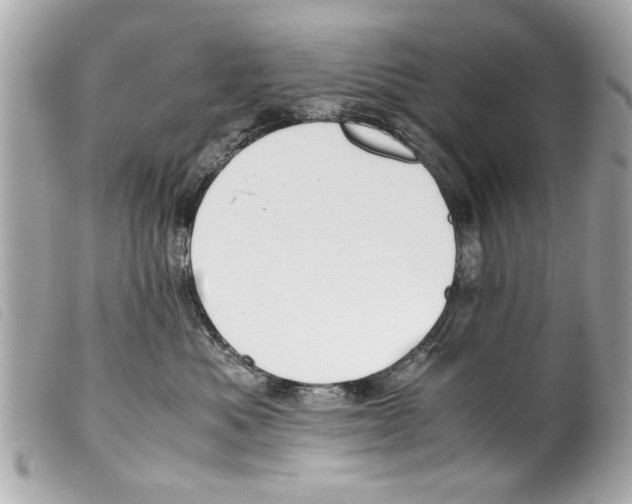 X0000099290525200805301114