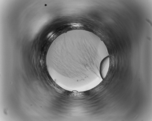 X0000099290526200805301114