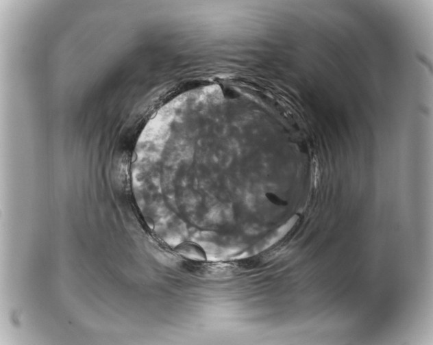 X0000099290527200805301114