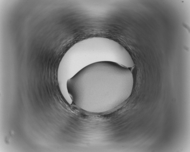 X0000099290528200805301114