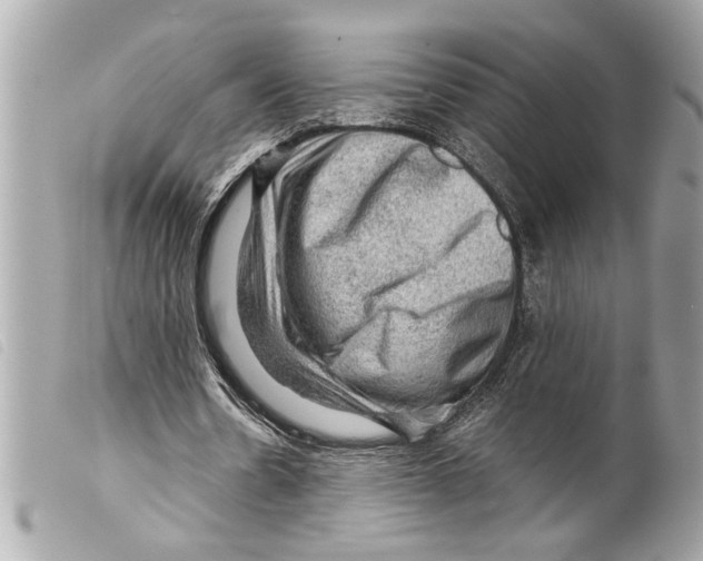 X0000099290530200805301114