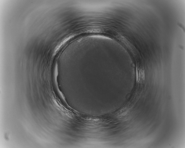 X0000099290531200805301114