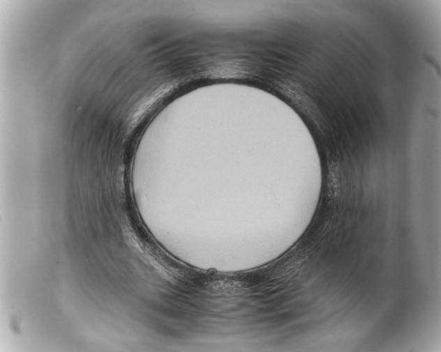 X0000099290535200805301114