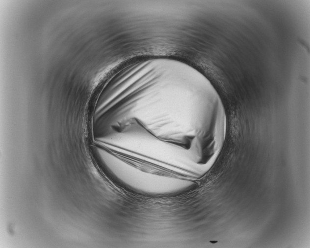 X0000099290536200805301114