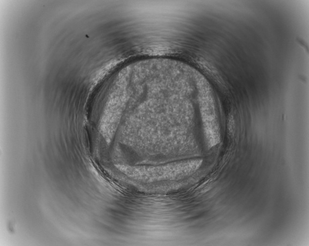 X0000099290540200805301114