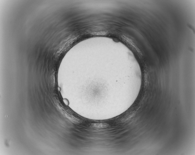 X0000099290541200805301114