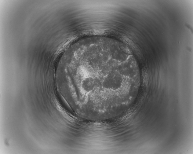 X0000099290542200805301114
