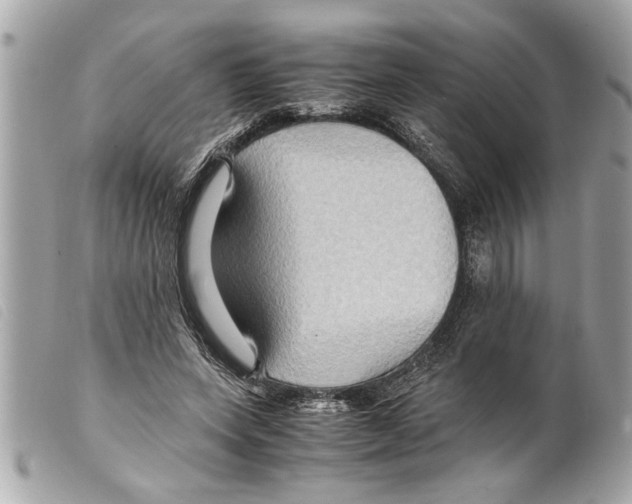 X0000099290543200805301114