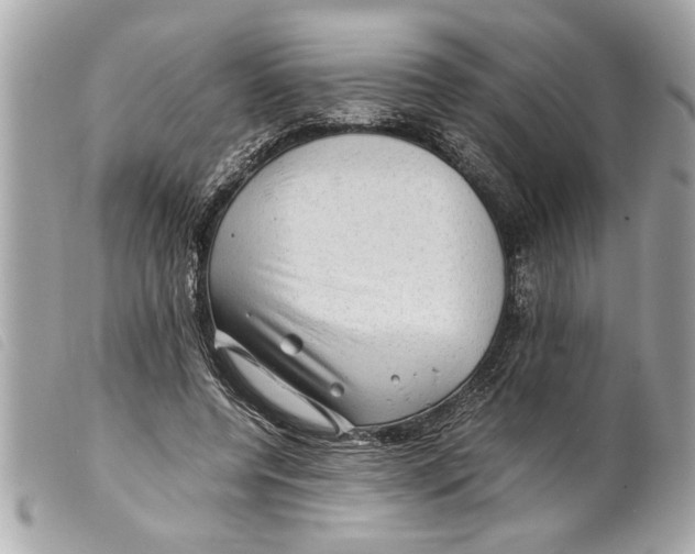 X0000099290544200805301114
