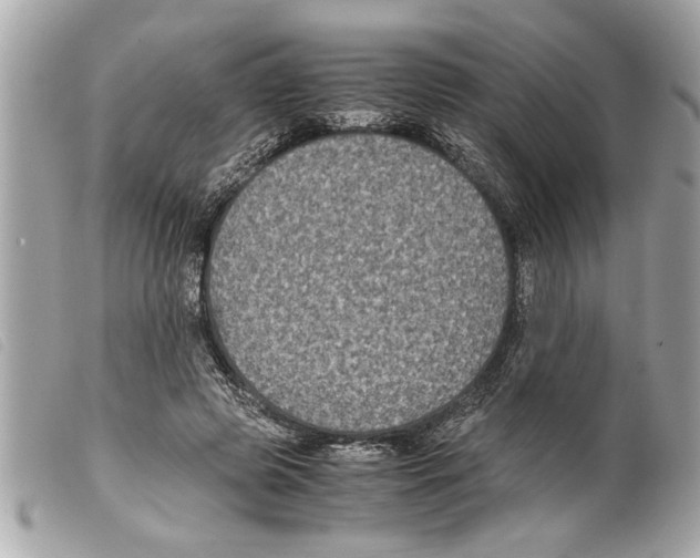 X0000099290545200805301114