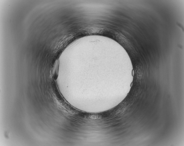 X0000099290546200805301114